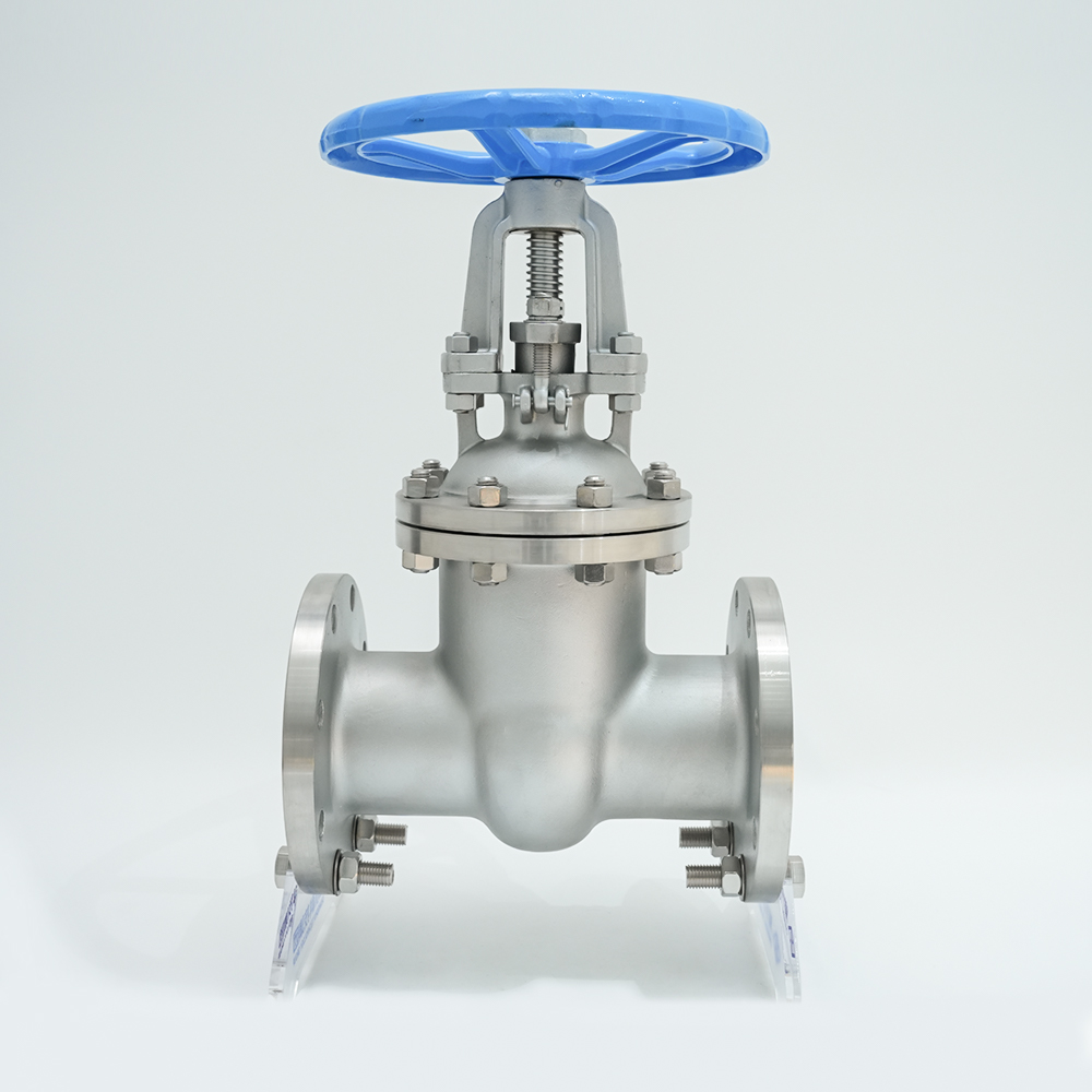 Flensportventil i rustfritt stål Z41W-16P